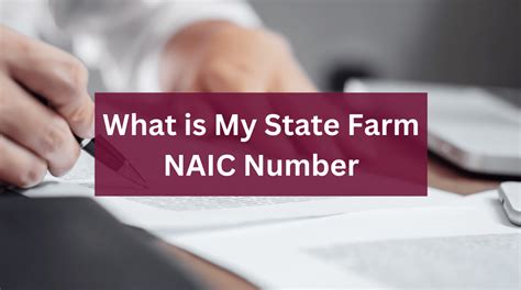 naic number state farm.